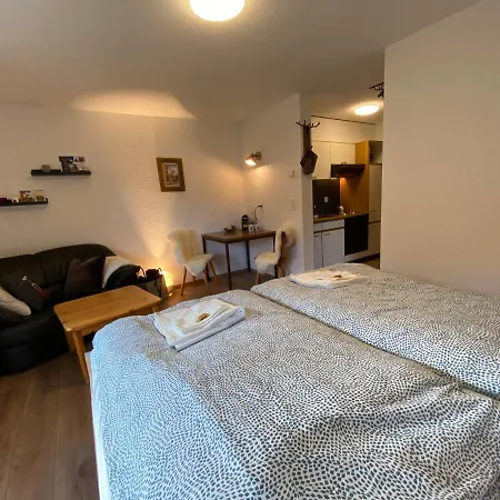 Haus Alpalin - Adjacent 'mischabel', Cosy, Апартаменты